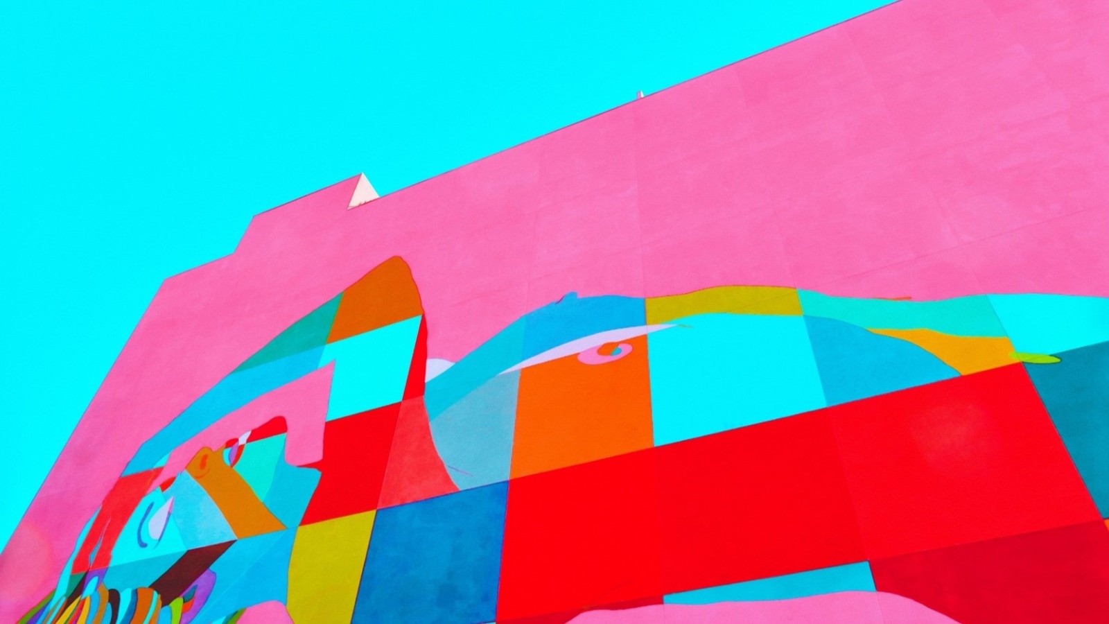 Gazte Action Day elkarlaneko horma irudia