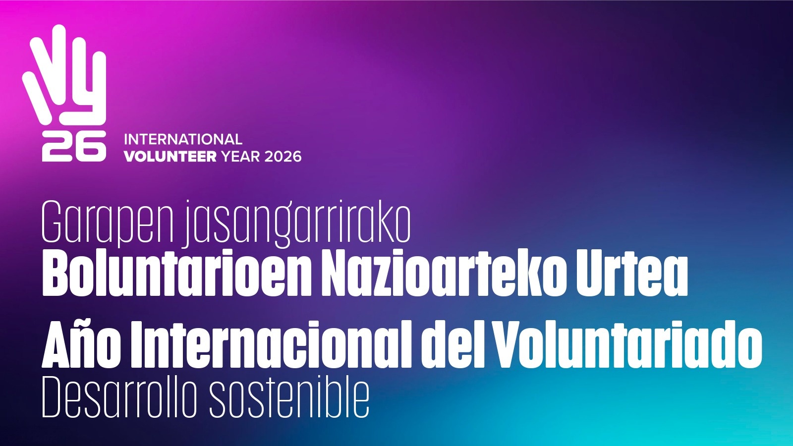 Año Internacional del Voluntariado: una oportunidad para la activación y el cambio