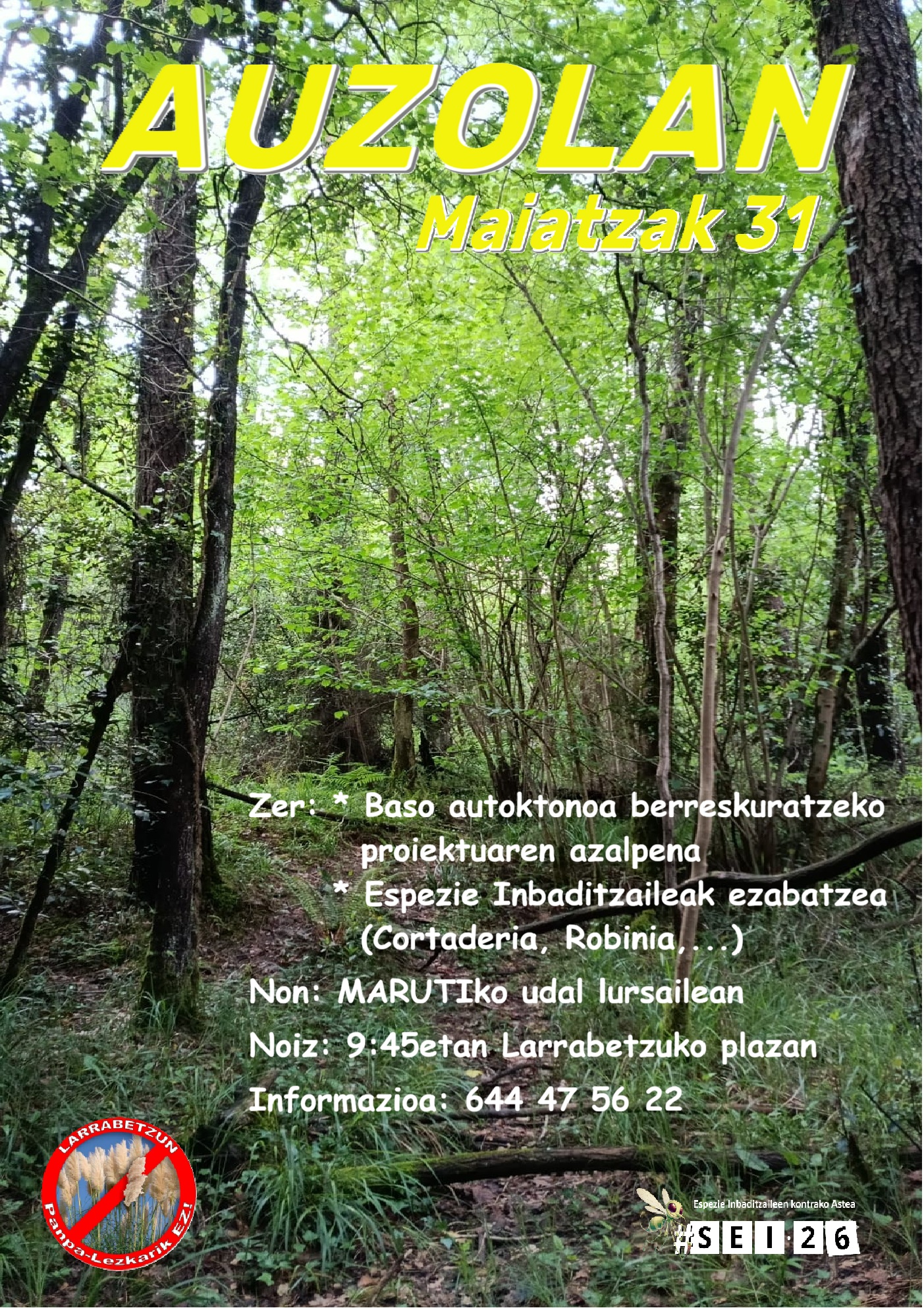 Marutiko udal lursaila, Larrabetzun.
