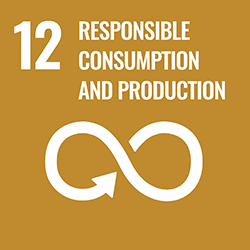  12. Responsible consumption and production