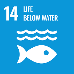  14. Life below water