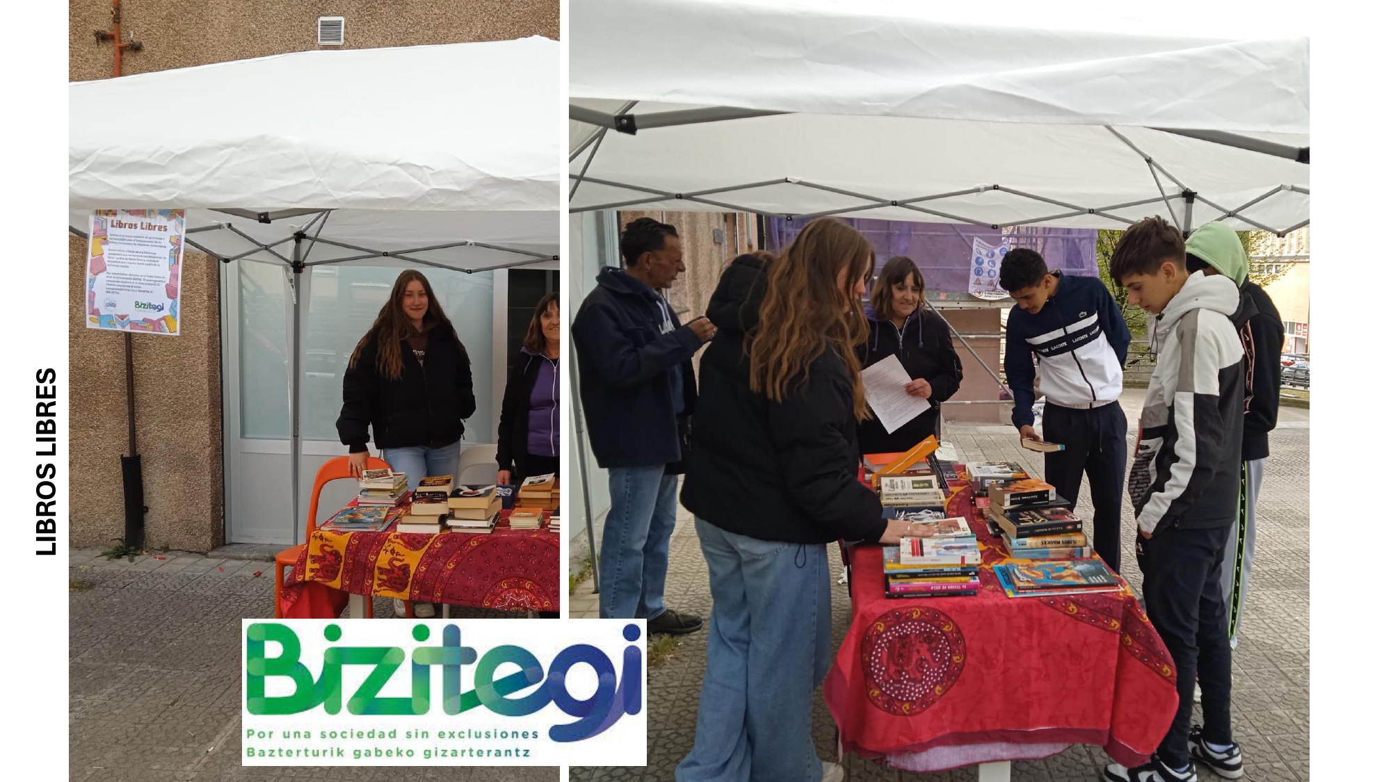 Proyecto colectivo de aprendizaje y comunicación a través de la lectura)